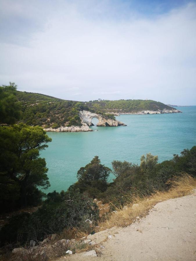 Vieste Holiday Extérieur photo